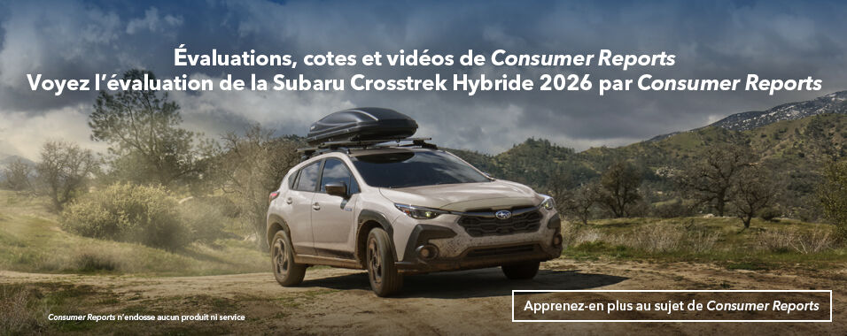 [Banner Image]