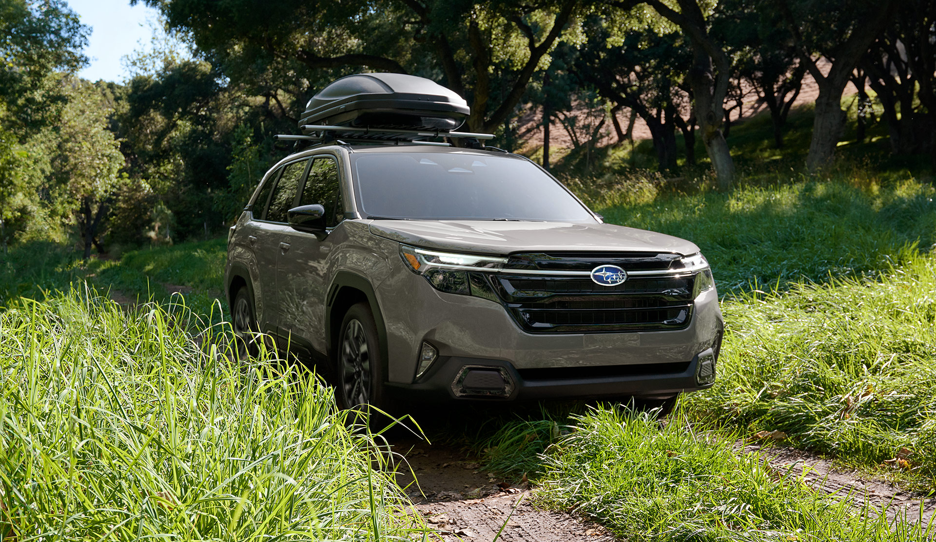 Subaru forester rooftop 2024 cargo carrier