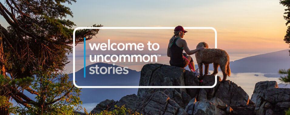 Share your uncommon Subaru stories, big or small, with all of your fellow drivers across Canada